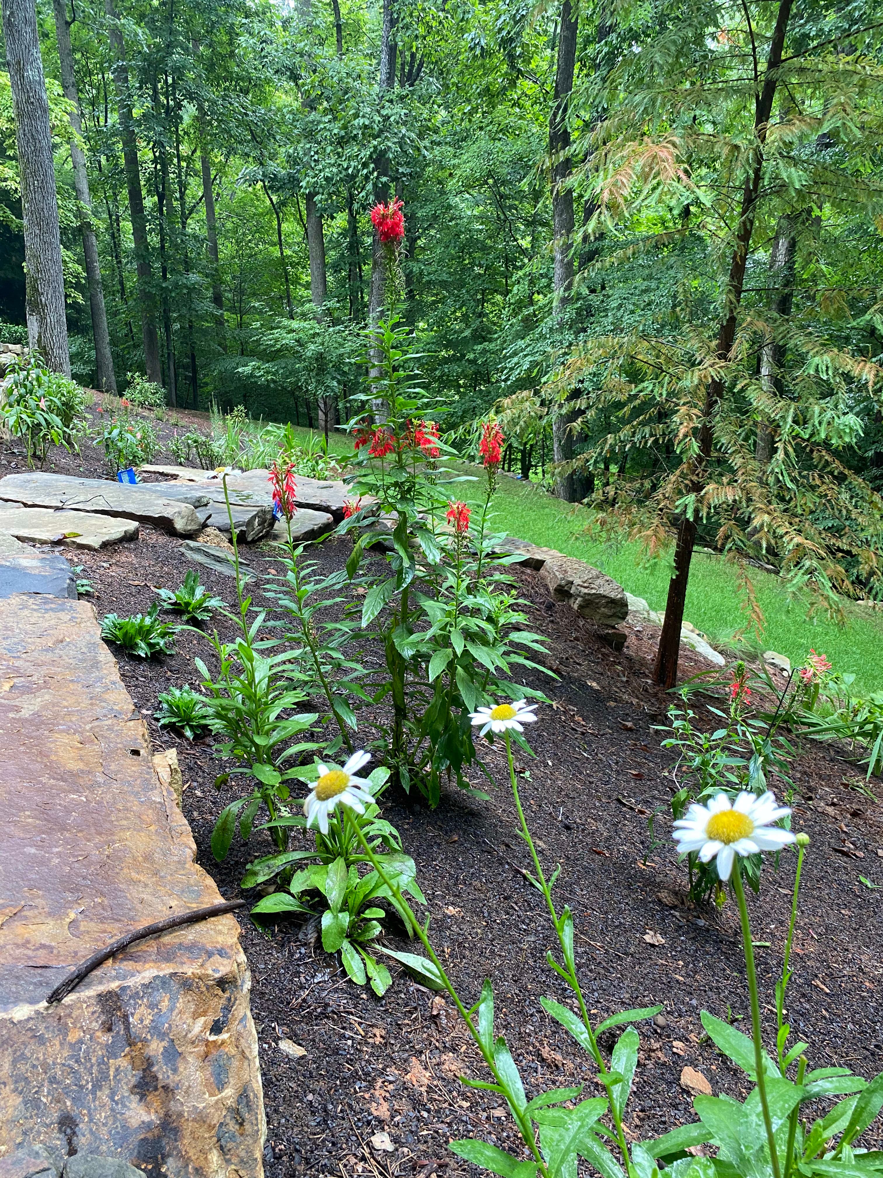 Native Planting