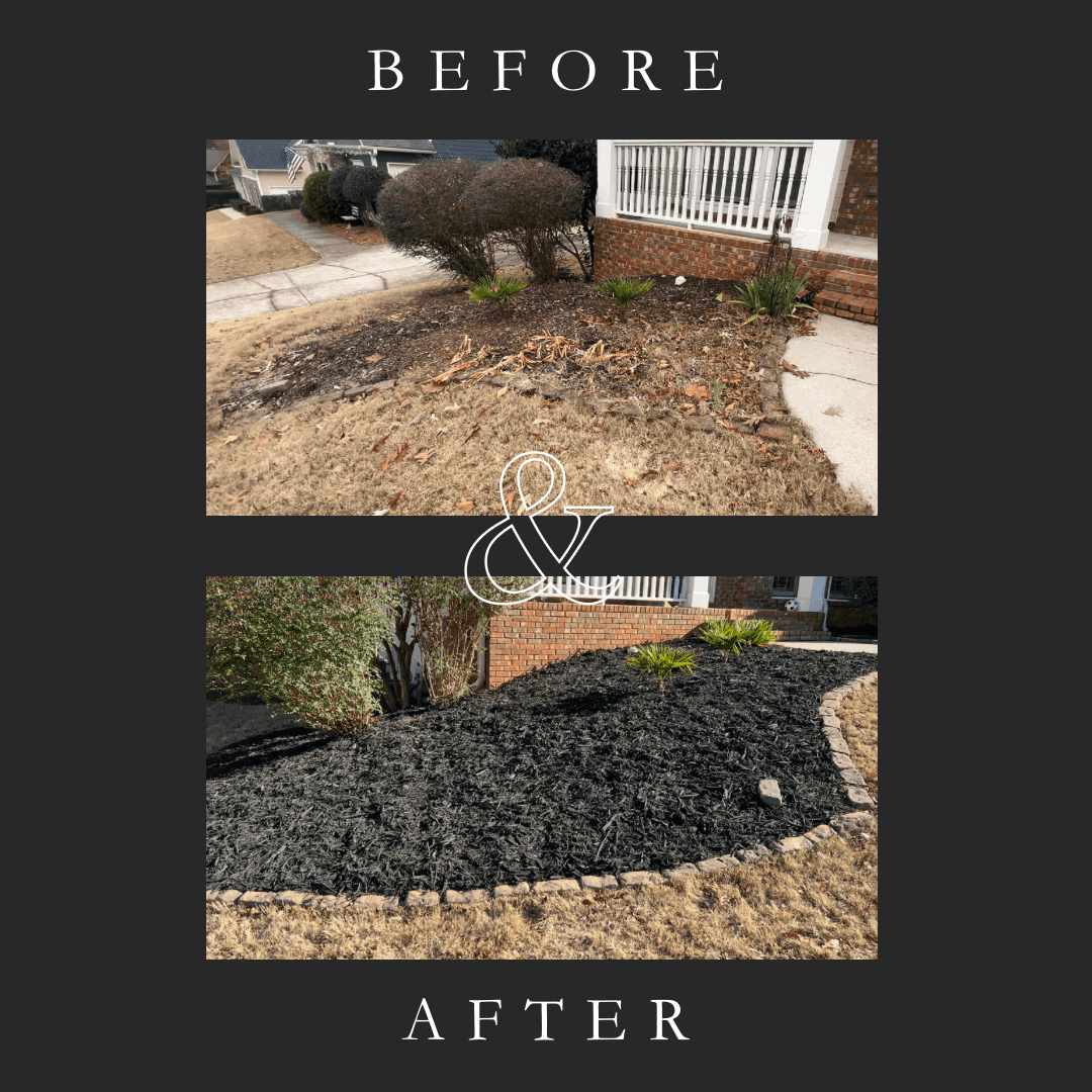 Garden Bed Cleanup