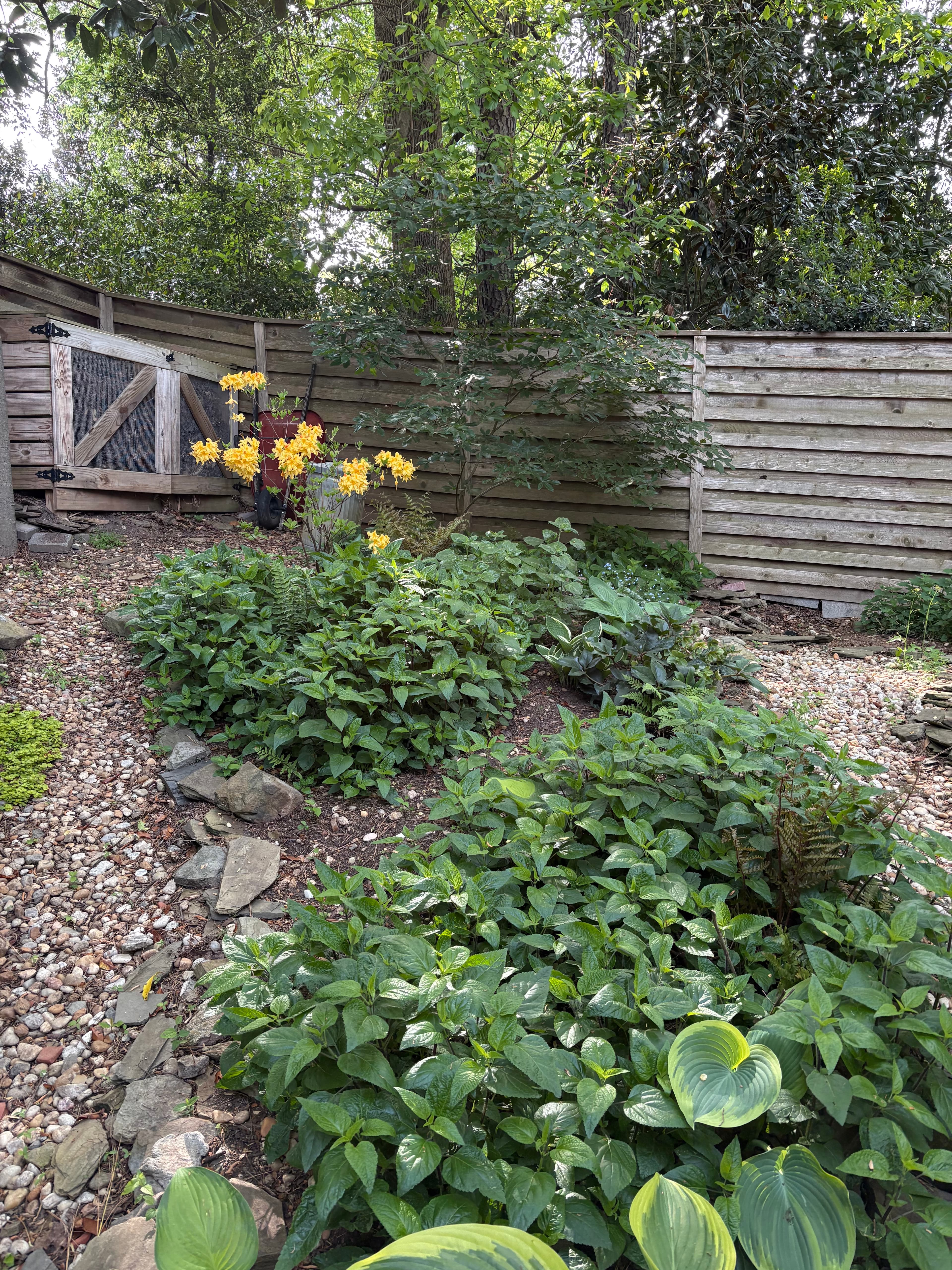 Woodland Garden Bed with Native Plantings