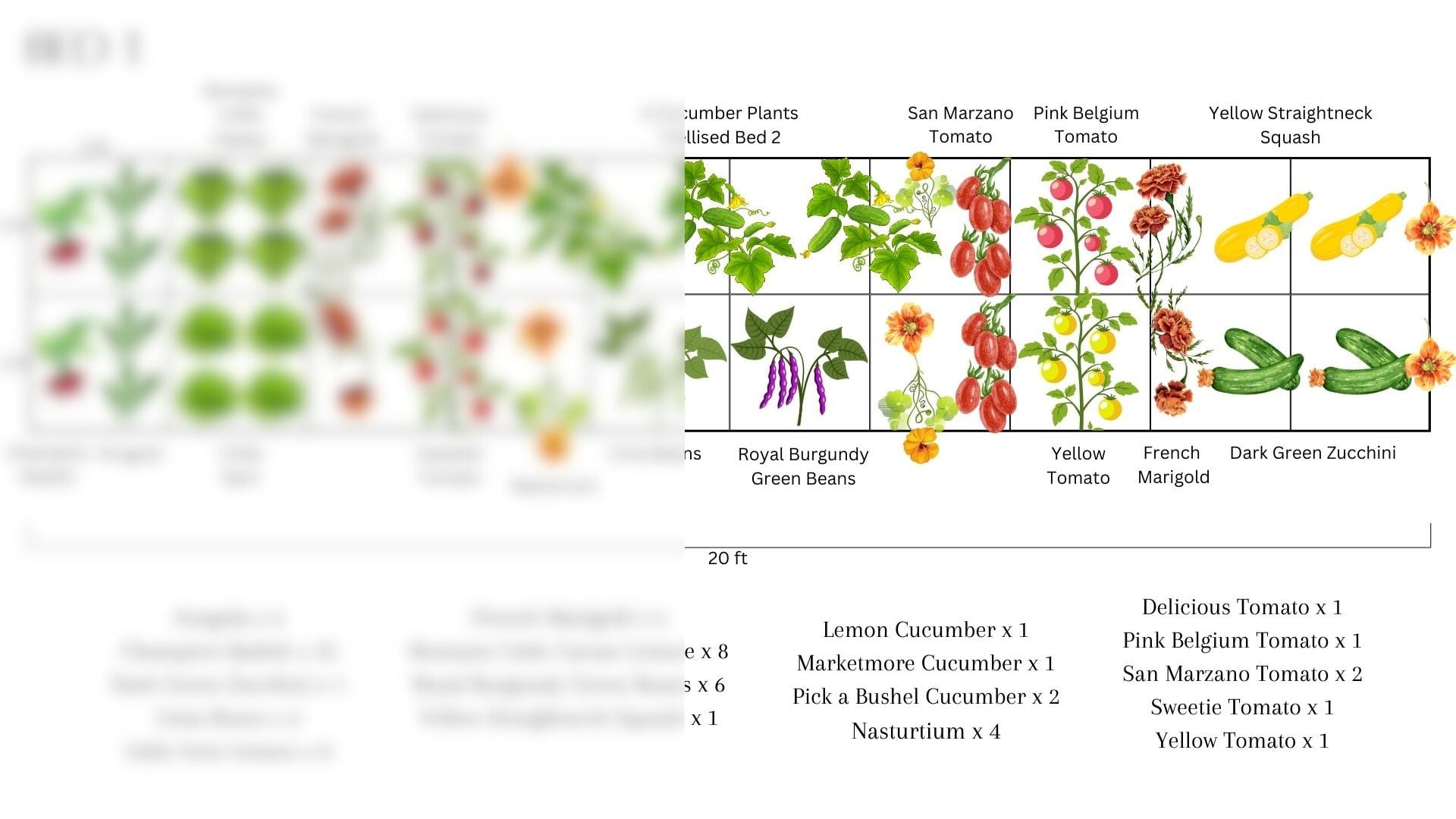 Vegetable garden design and consultation services in Marietta and Atlanta