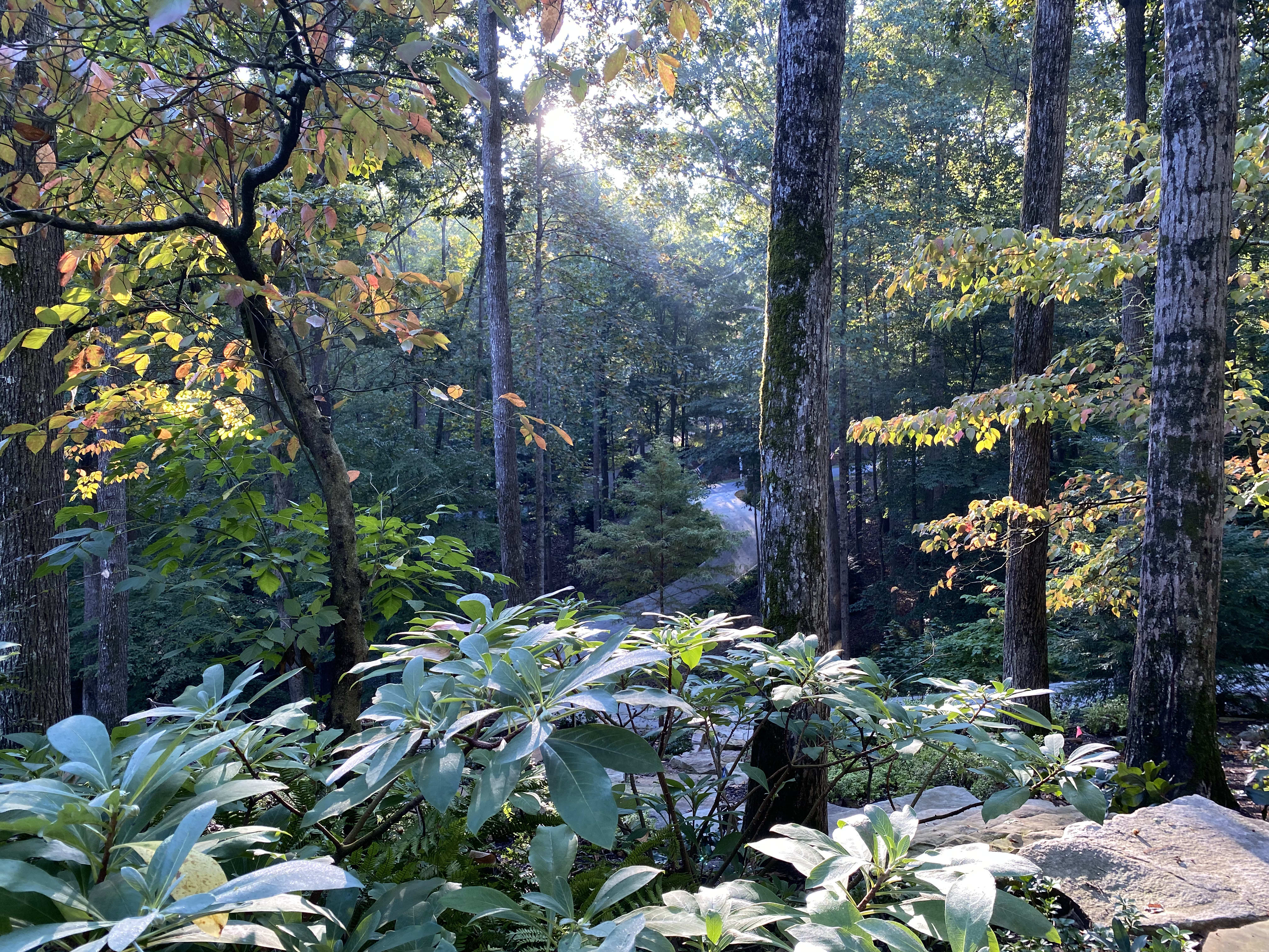 Georgia Groundskeeping Guide: Alpharetta, Milton, and Vinings