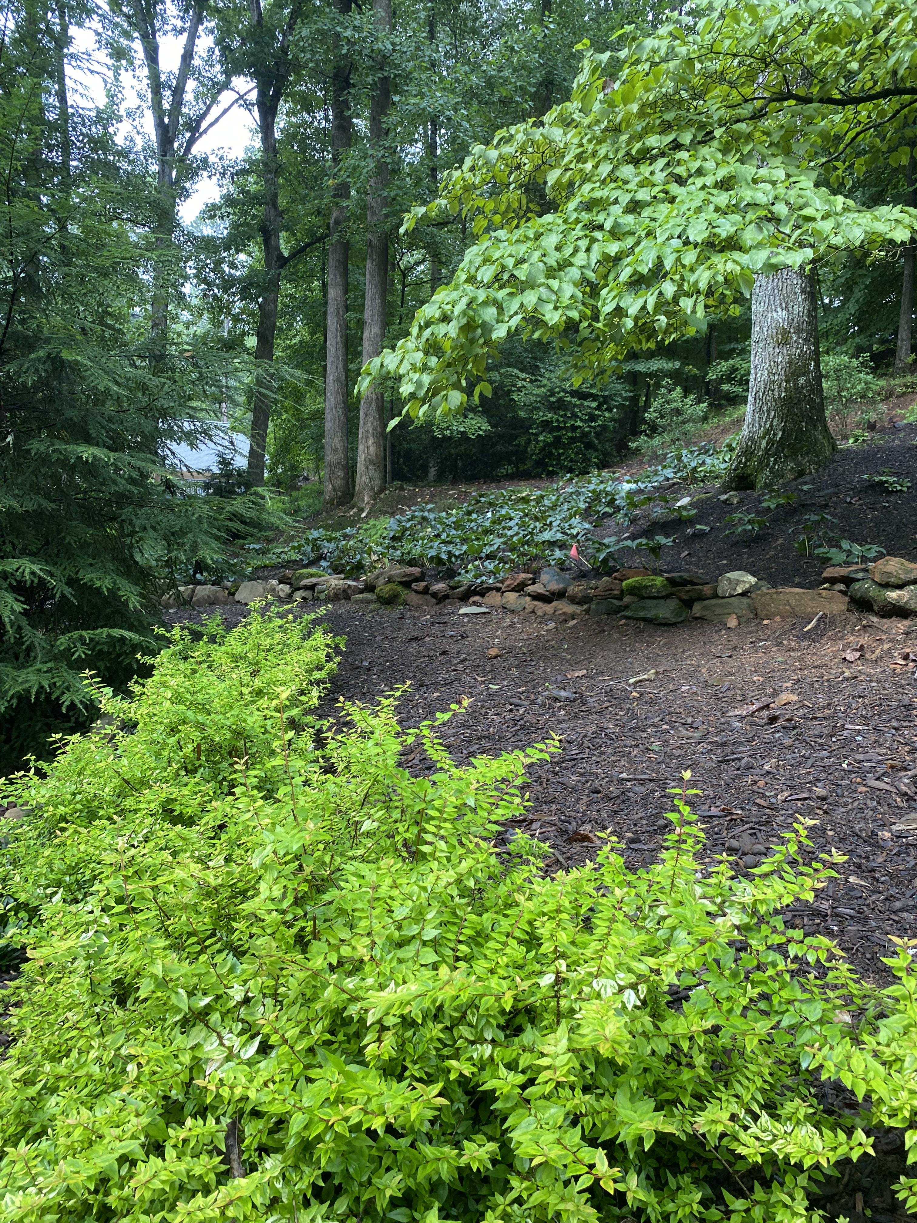 Georgia Groundskeeping Guide: Alpharetta, Milton, and Vinings