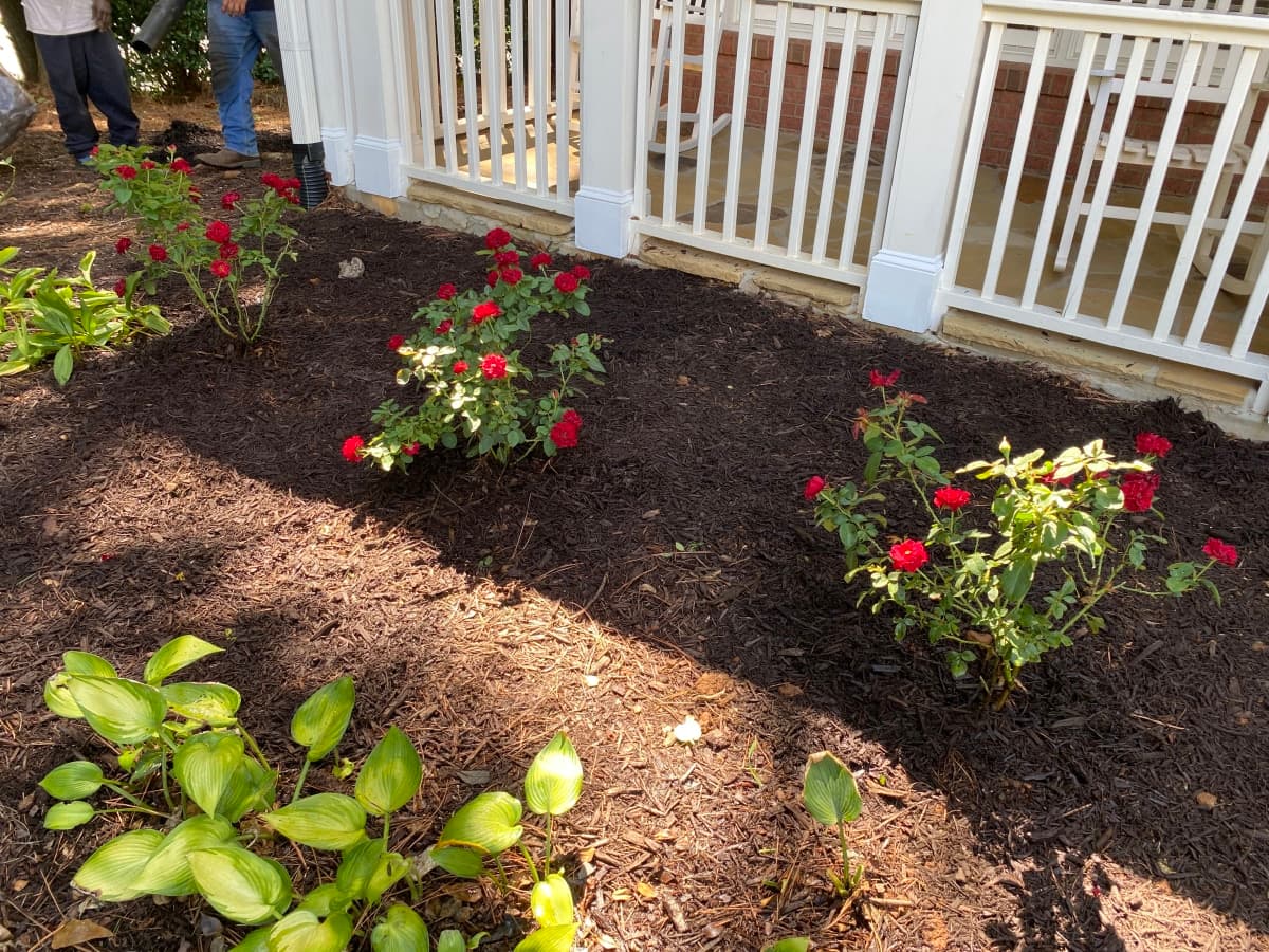 Real Estate Enhancements