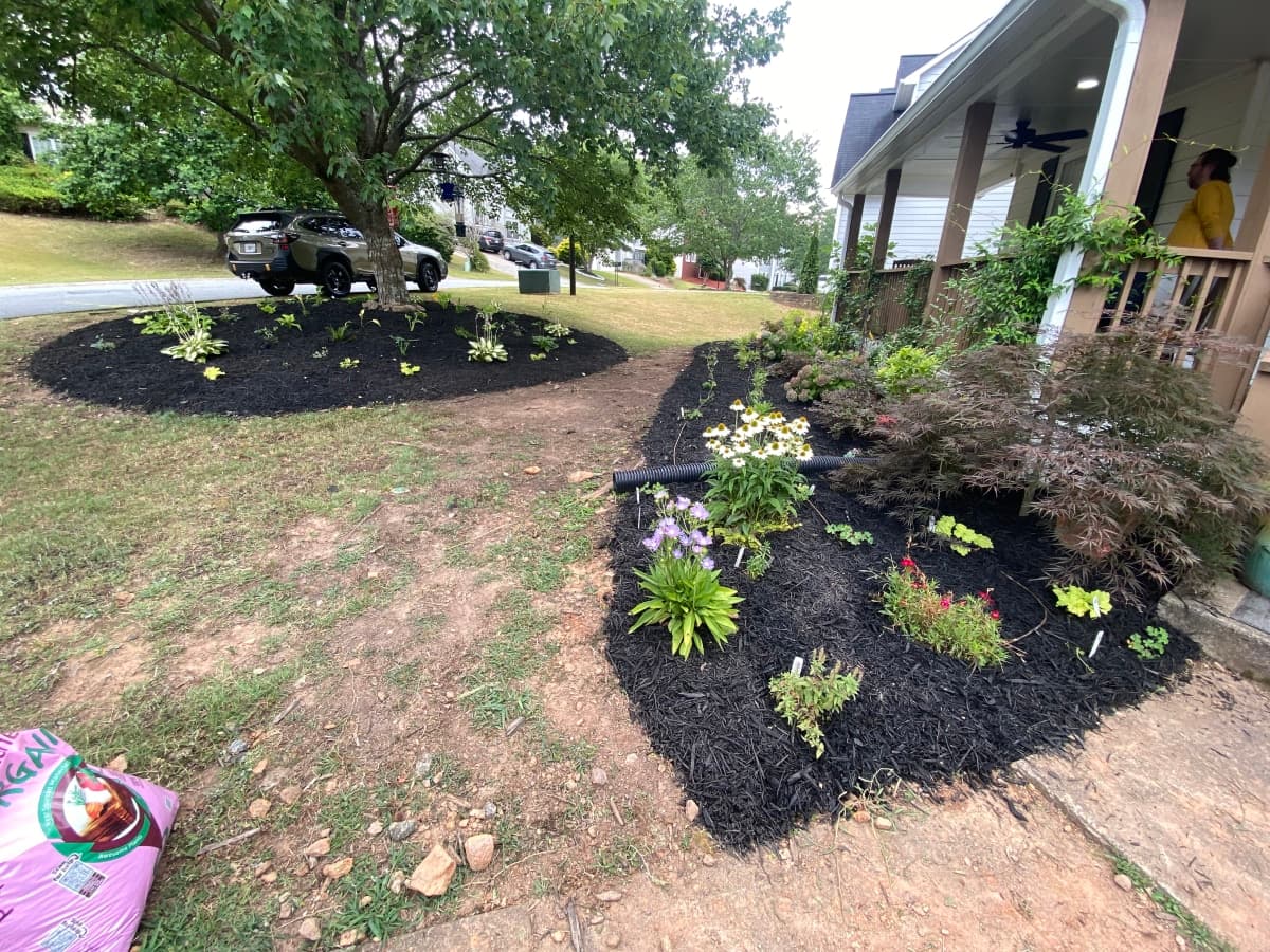 Drip Irrigation and Planting