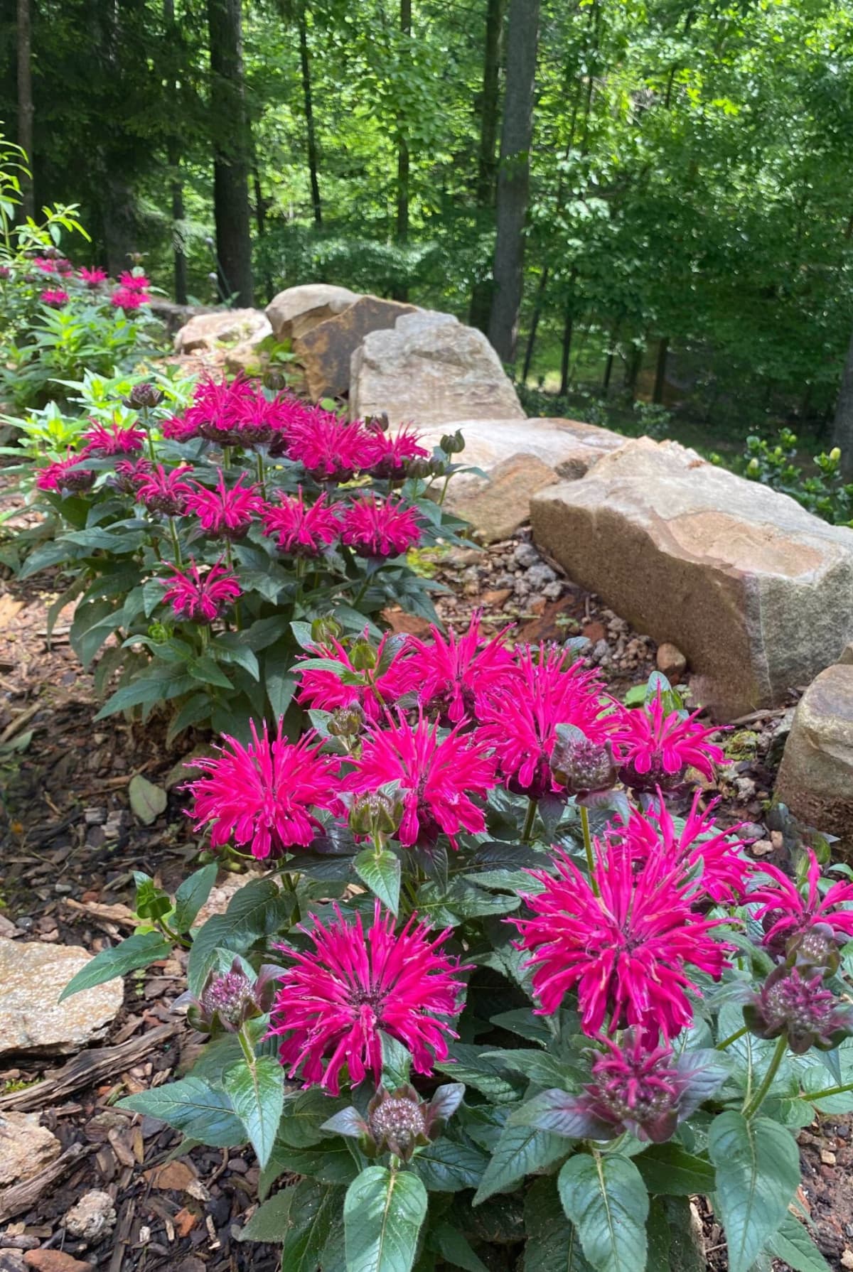 Alpharetta, GA groundskeeping services