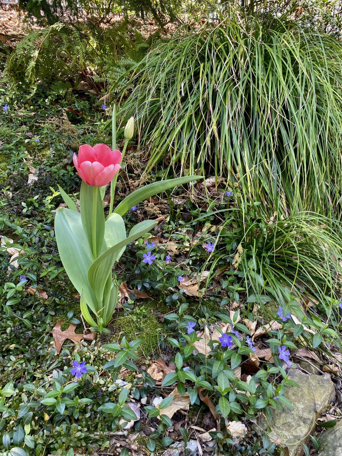 Professional quarterly garden cleanup services in Marietta and Atlanta