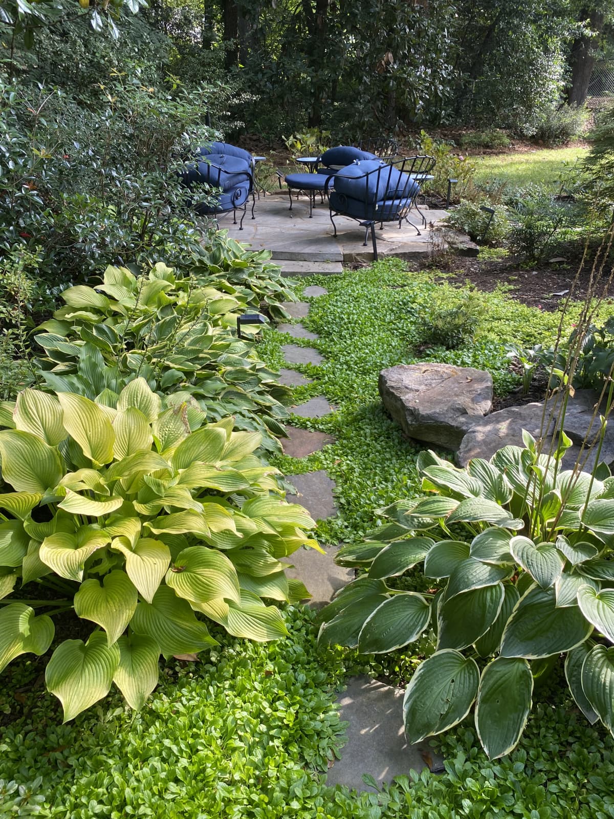 Vinings, GA landscape maintenance