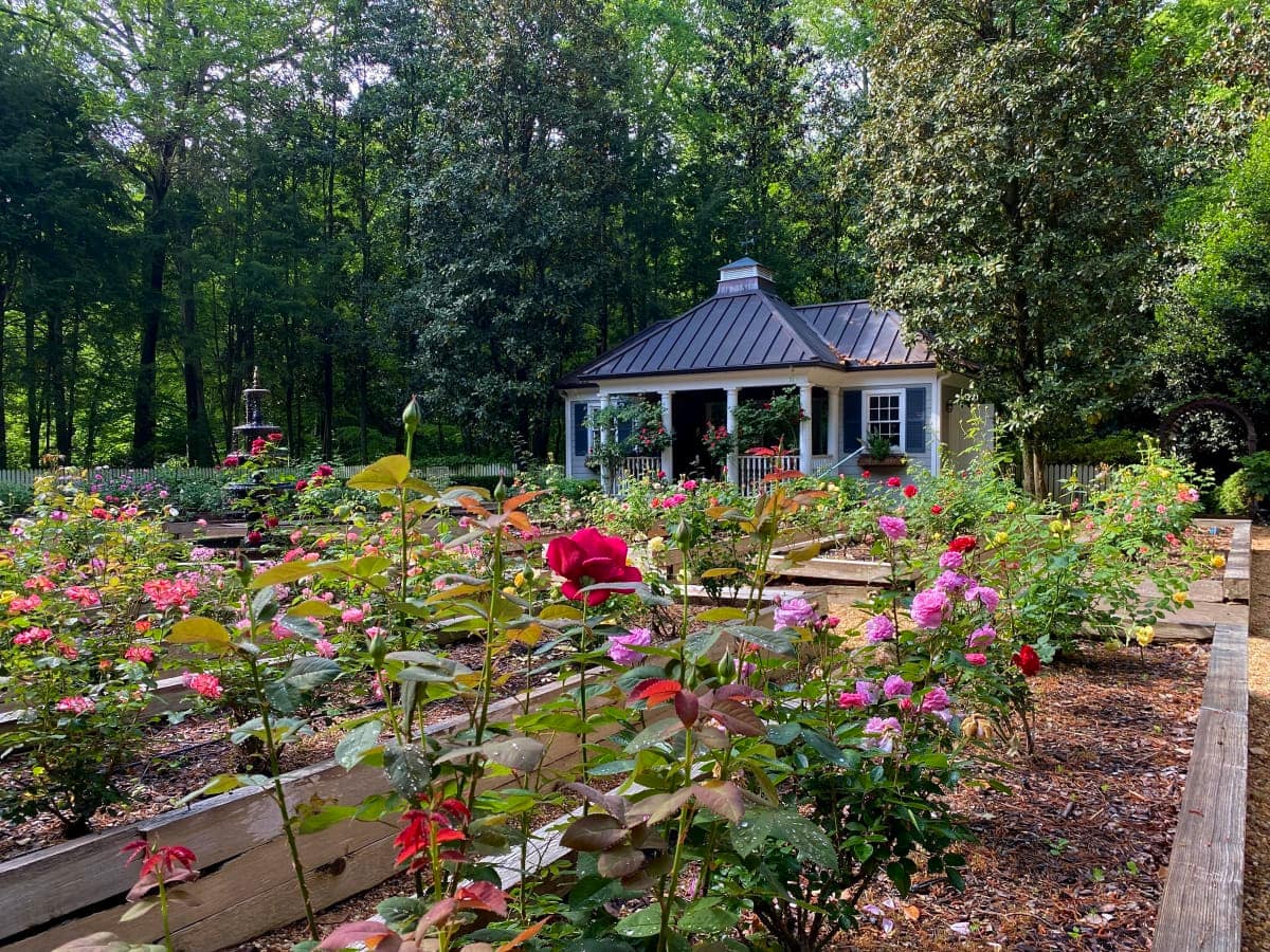 High-end garden design services in Sandy Springs by Gardening Thyme - professional landscape design featuring pollinator gardens