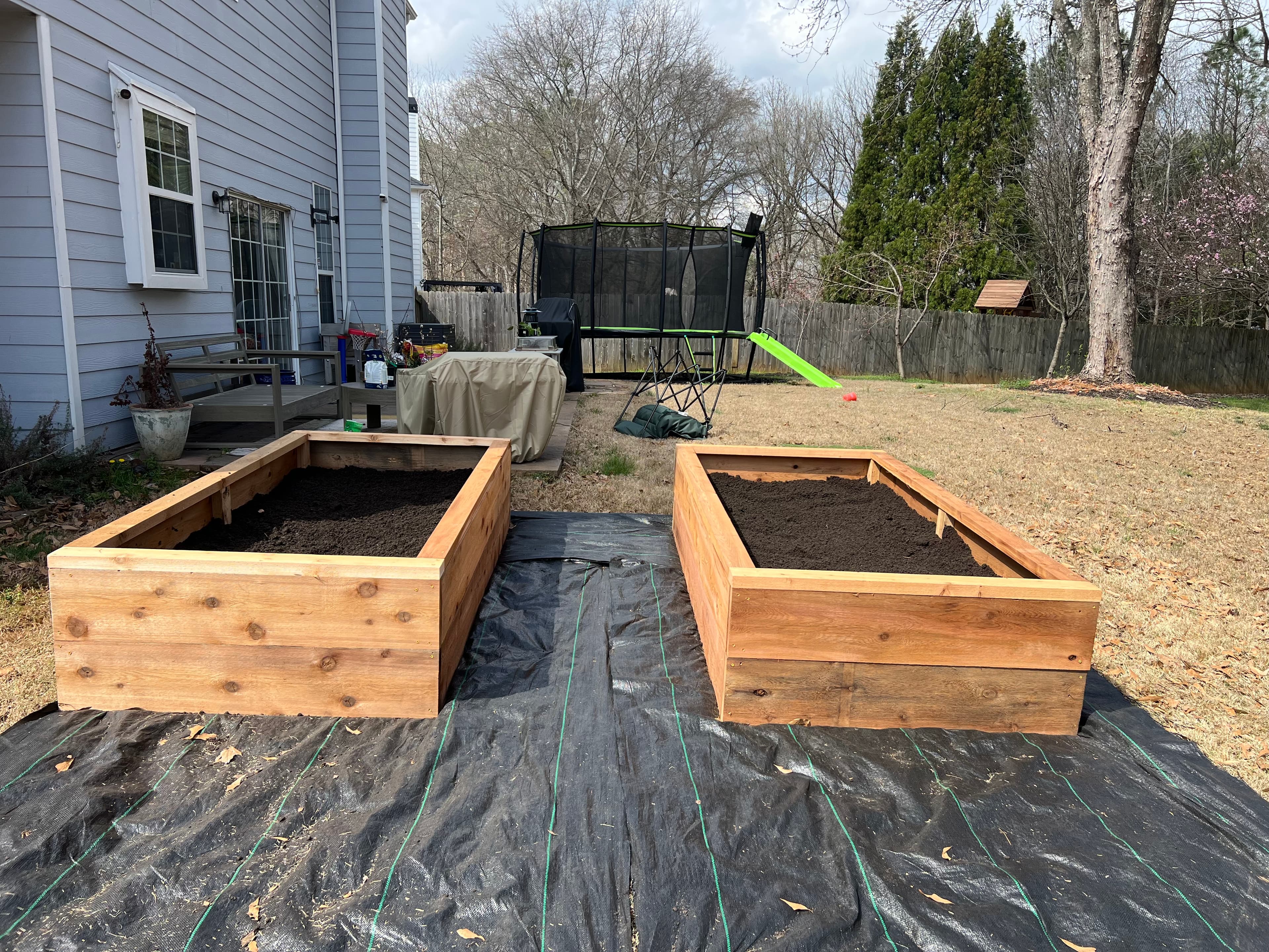 Raised Beds